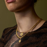 Formed | Chain | Omega