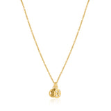 Formed | Chain | Oval Link